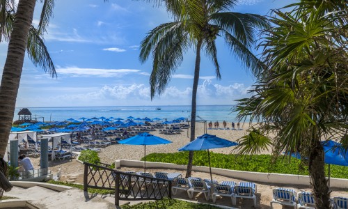 The Reef Playacar